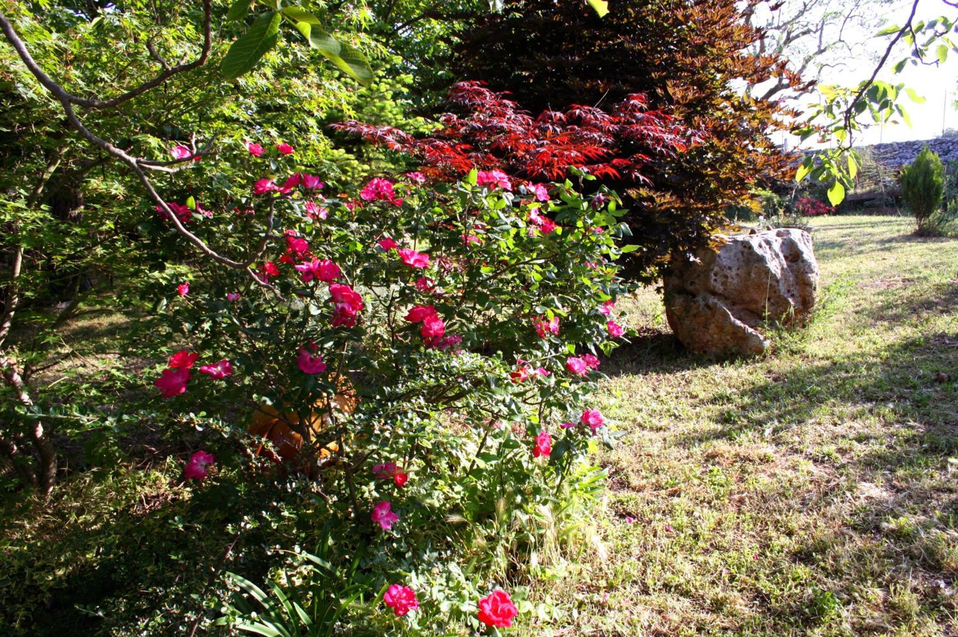 Bed and Breakfast La Cascata Noci Exterior foto