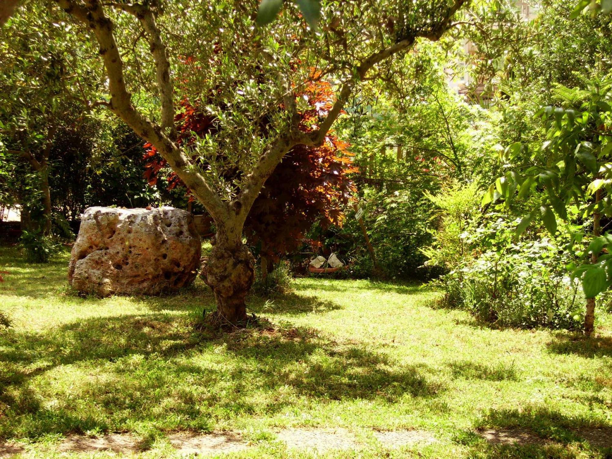 Bed and Breakfast La Cascata Noci Exterior foto